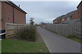 A path between the houses