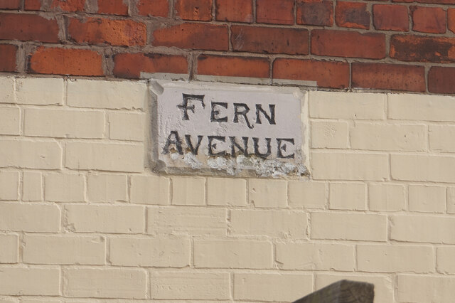 Fern Avenue off Middleburg Street, Hull