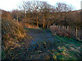 A very wet and muddy footpath, Kirkheaton