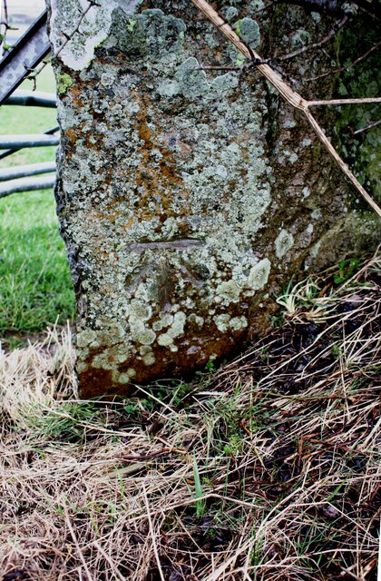 Benchmark on gatepost on north side of road north of Penruddock