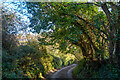 Combe Martin : Berry Lane