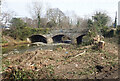 Tree felling along the Shimna as part of a flood alleviation scheme