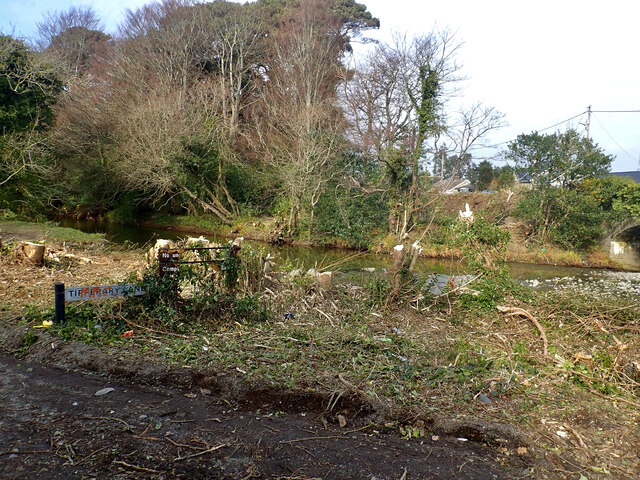 Woodland clearance at the entrance to Tipperary Wood