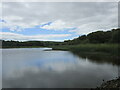 W3370 : The Gearagh Reservoir by Jonathan Thacker