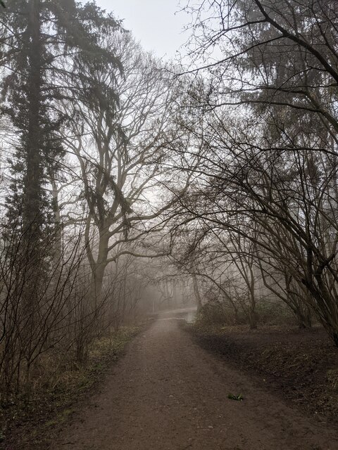 Fog along the footpath © Bob Harvey :: Geograph Britain and Ireland