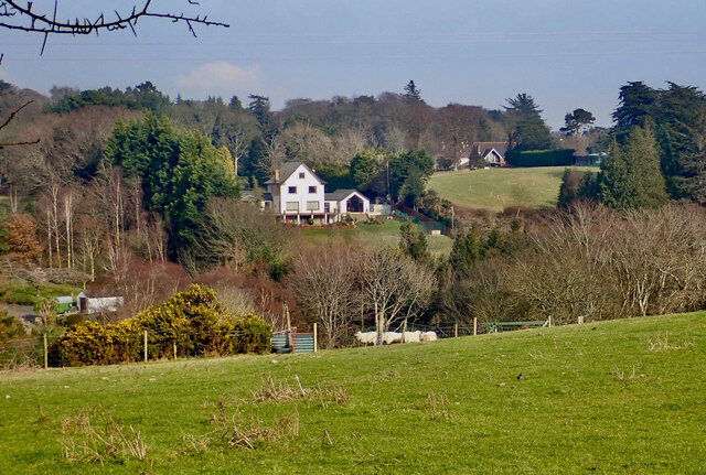 Houses on the North bank of the Shimna River