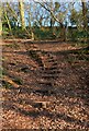 Steps linking two footpaths, near Hartlebury, Worcs