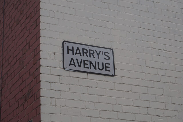 Harry's Avenue off Lorraine Street, Hull