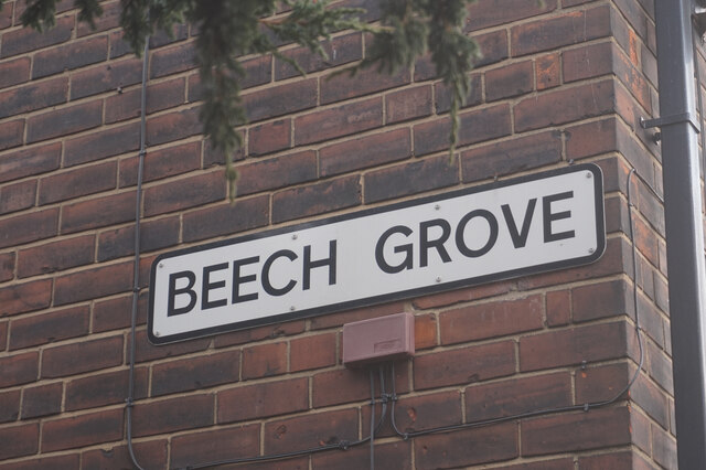 Beech Grove off Lorraine Street, Hull
