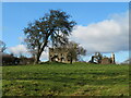 The ruined farmhouse at Simfield