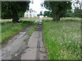 Track towards Kippenross House