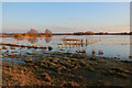 TL3470 : Water levels falling on Ferry Mere by Hugh Venables