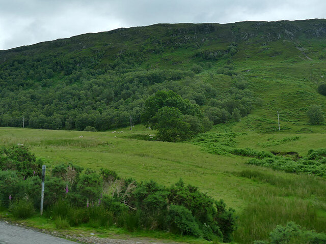 View to the slopes of Carn Mor