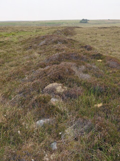 Stone and turf dyke, Aspelaid, Isle of Lewis