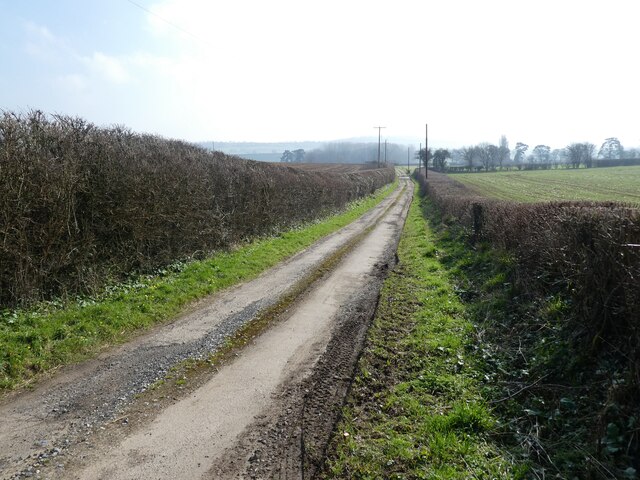 Lane to Wyke Farm