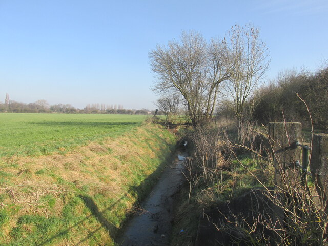 Bentley Common, Doncaster - area information, map, walks and more