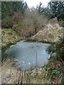 Frozen Pond