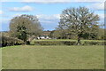 Path through fields to Carter