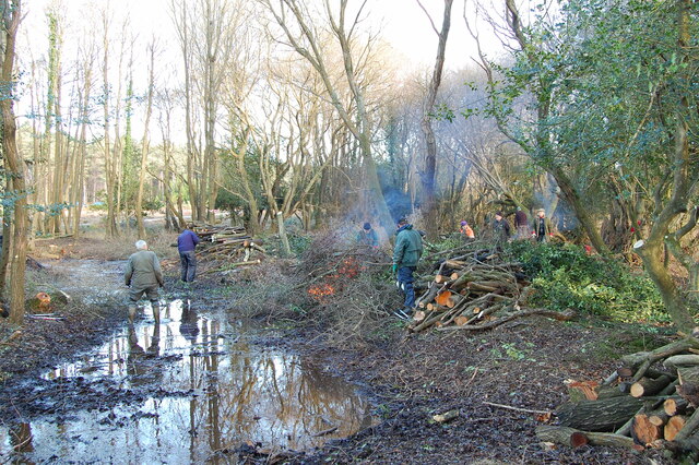 Pond restoration near Peel Hill New Forest
