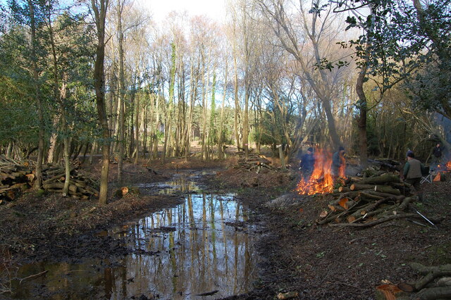 Pond restoration near Peel Hill New Forest
