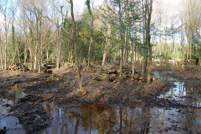 Pond and stream restoration near Peel Hill New Forest