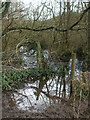 A small pond on Publow Leigh