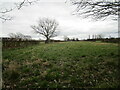 Grass field between The Fleet and Cottage Lane