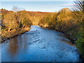 River Irwell at Prestolee