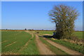 Footpath to Ravenstone Mill Road