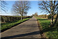 Trees on Ravenstone Mill Road