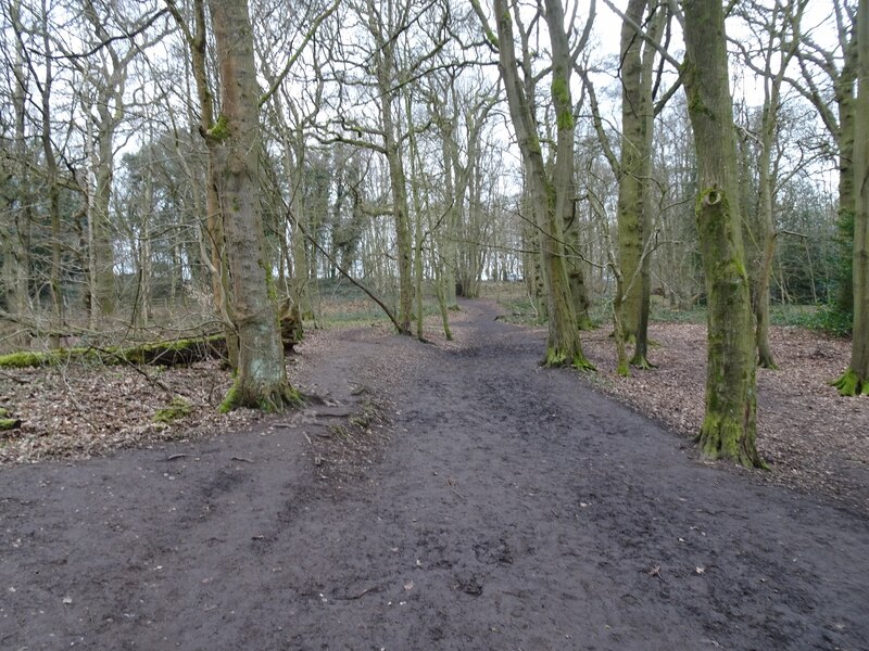 Woodland Path © Gordon Griffiths cc-by-sa/2.0 :: Geograph Britain and ...