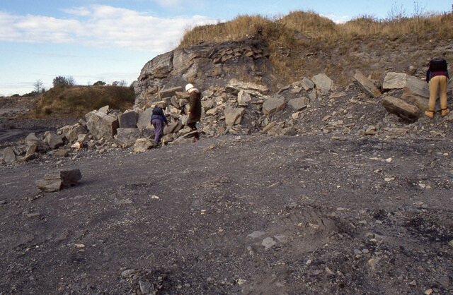 Fossil hunting, Trearne Quarry