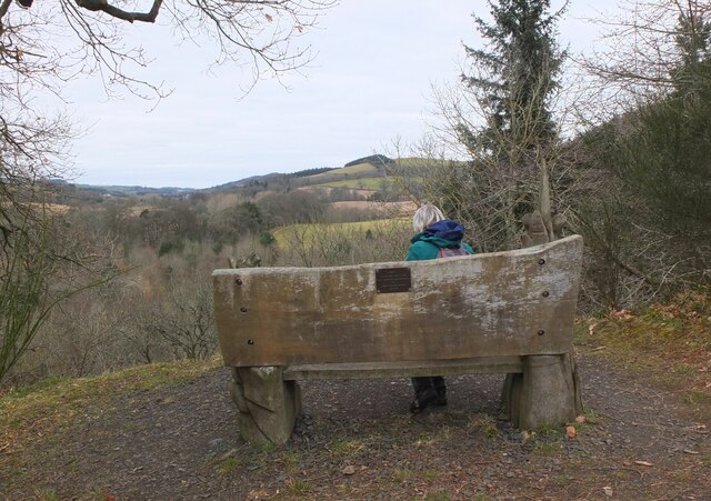 Wooden seat above the Leader Water