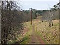 NT5736 : Jubilee Path and power line by Jim Barton