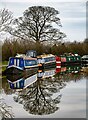 Macclesfield Canal