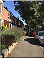 Broad Street and its lime trees, Warwick