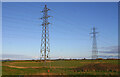 Pylons near Fleet Hall Sluice