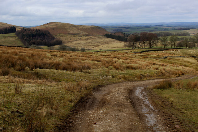 Track Descending Towards Rylstone Chris Heaton Cc By Sa Geograph Britain And Ireland