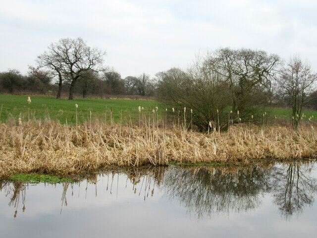 Canal bank