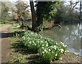 The Tarn at Eltham