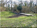 Amphitheatre, The Hawth, Crawley