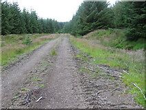 NS6207 : Track in Lochingirroch forest by Chris Wimbush