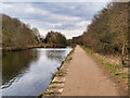 SD7407 : Canal Towpath, Manchester, Bolton and Bury Canal, Bolton Arm by David Dixon