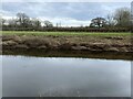 River Dee, west of Farndon