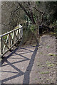 Flooded path in Newbold Quarry Park