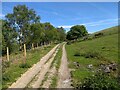 The Ceiriog Trail