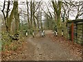 Traffic barrier on Knott Lane