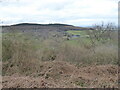 View northwards from the ridgeline above Netherwood Coppice