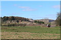 View from bridleway near Radyr Farm