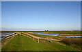 Meeting place of footpaths at Fleet Head, Barling